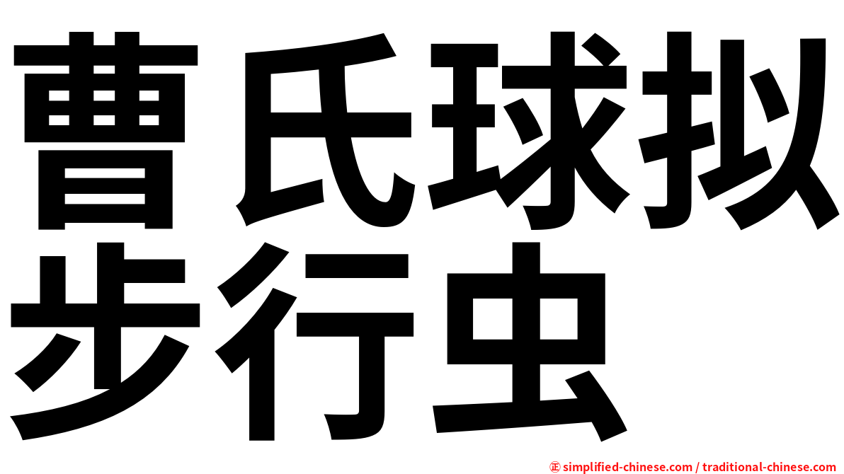 曹氏球拟步行虫
