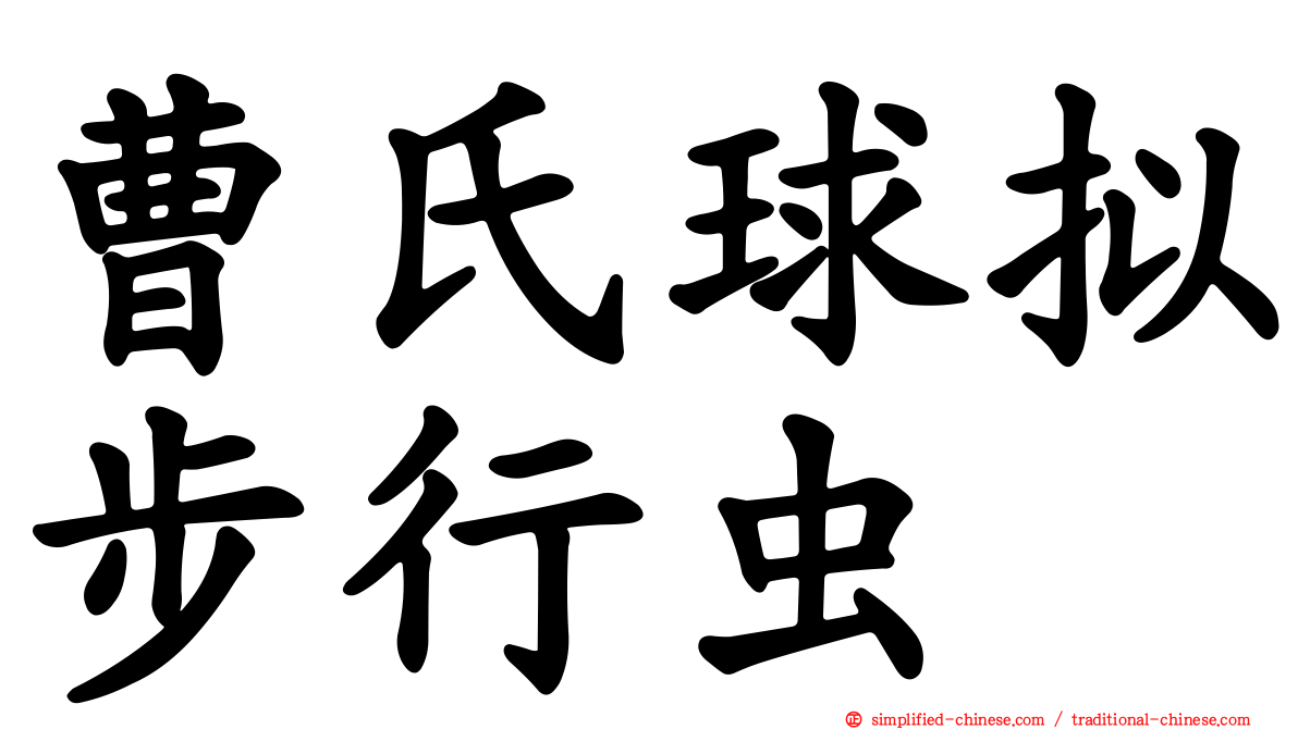 曹氏球拟步行虫
