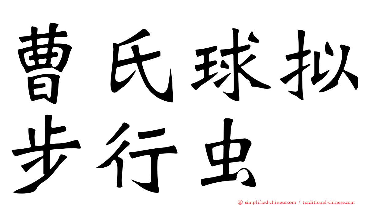 曹氏球拟步行虫