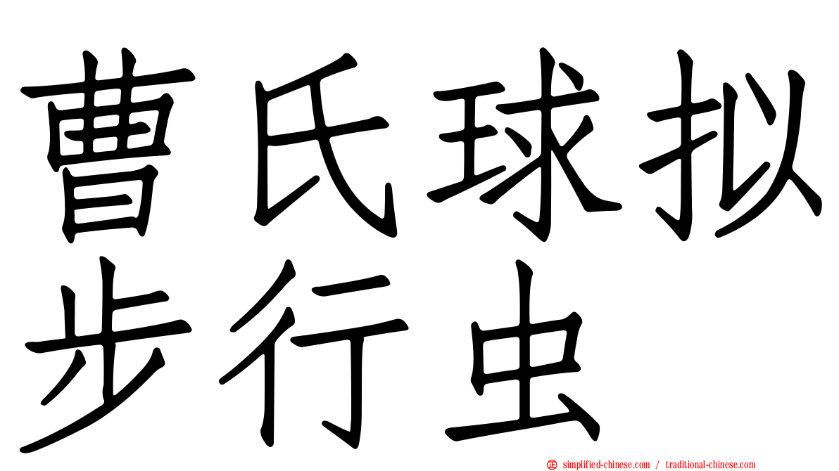 曹氏球拟步行虫