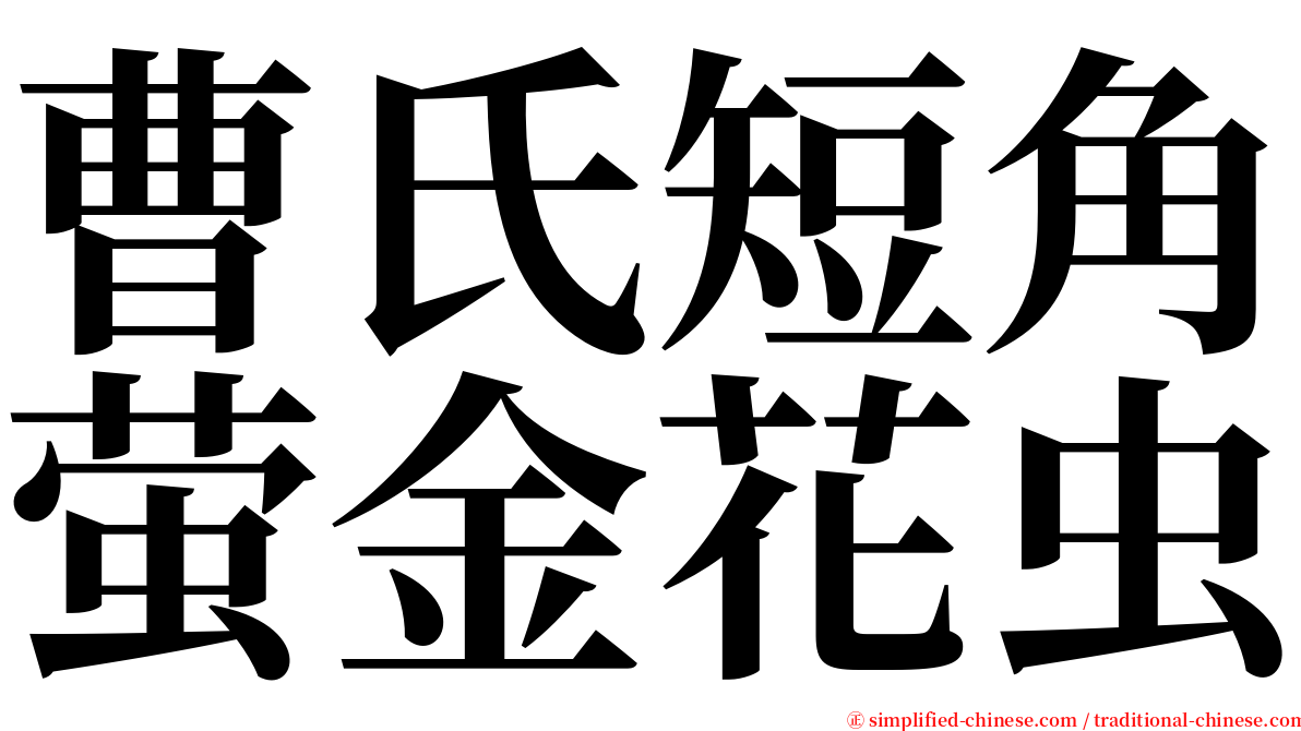 曹氏短角萤金花虫 serif font