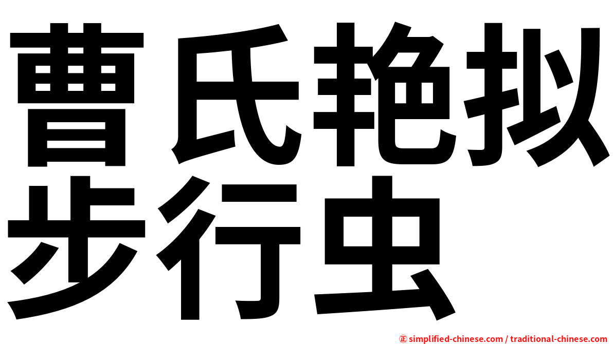 曹氏艳拟步行虫