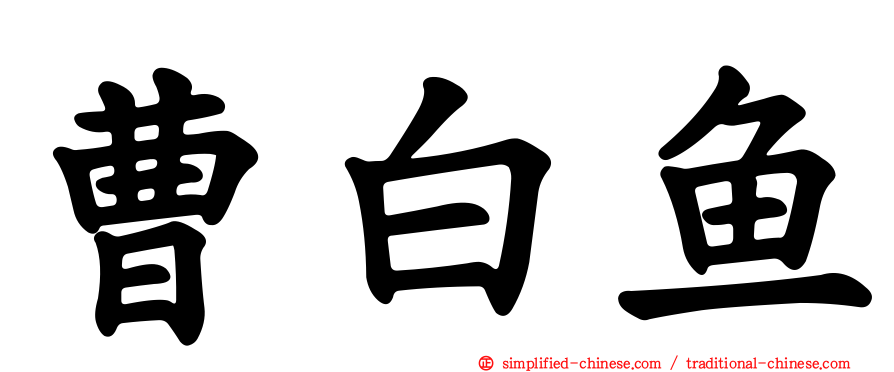 曹白鱼