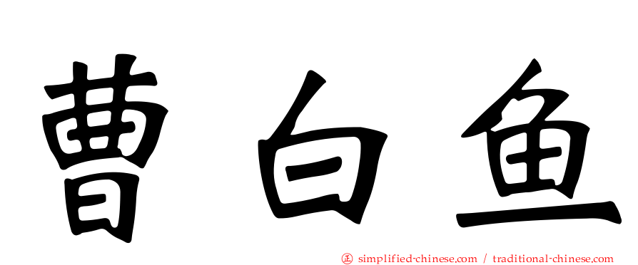 曹白鱼