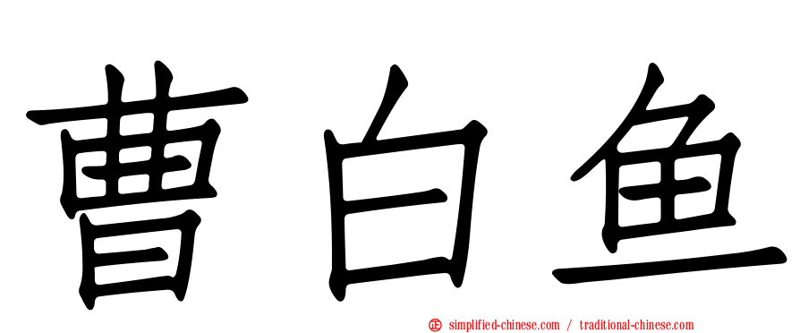 曹白鱼
