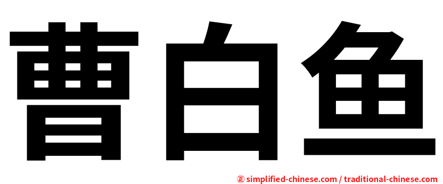 曹白鱼