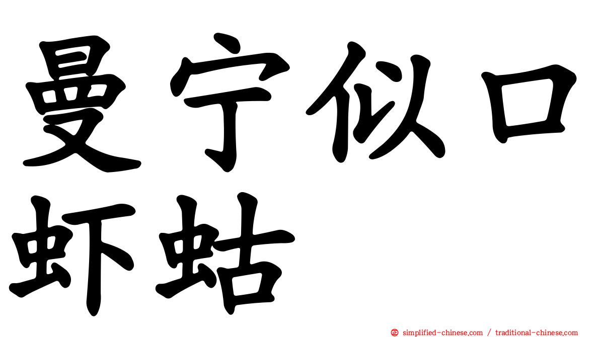 曼宁似口虾蛄