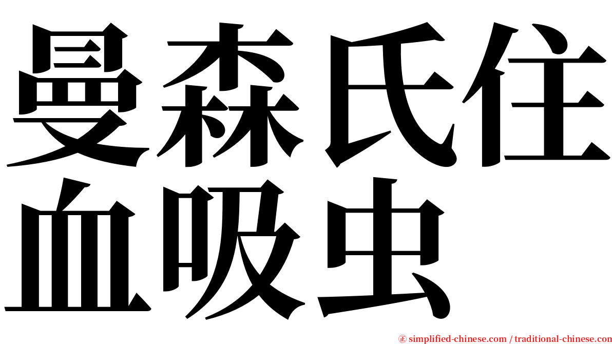 曼森氏住血吸虫 serif font