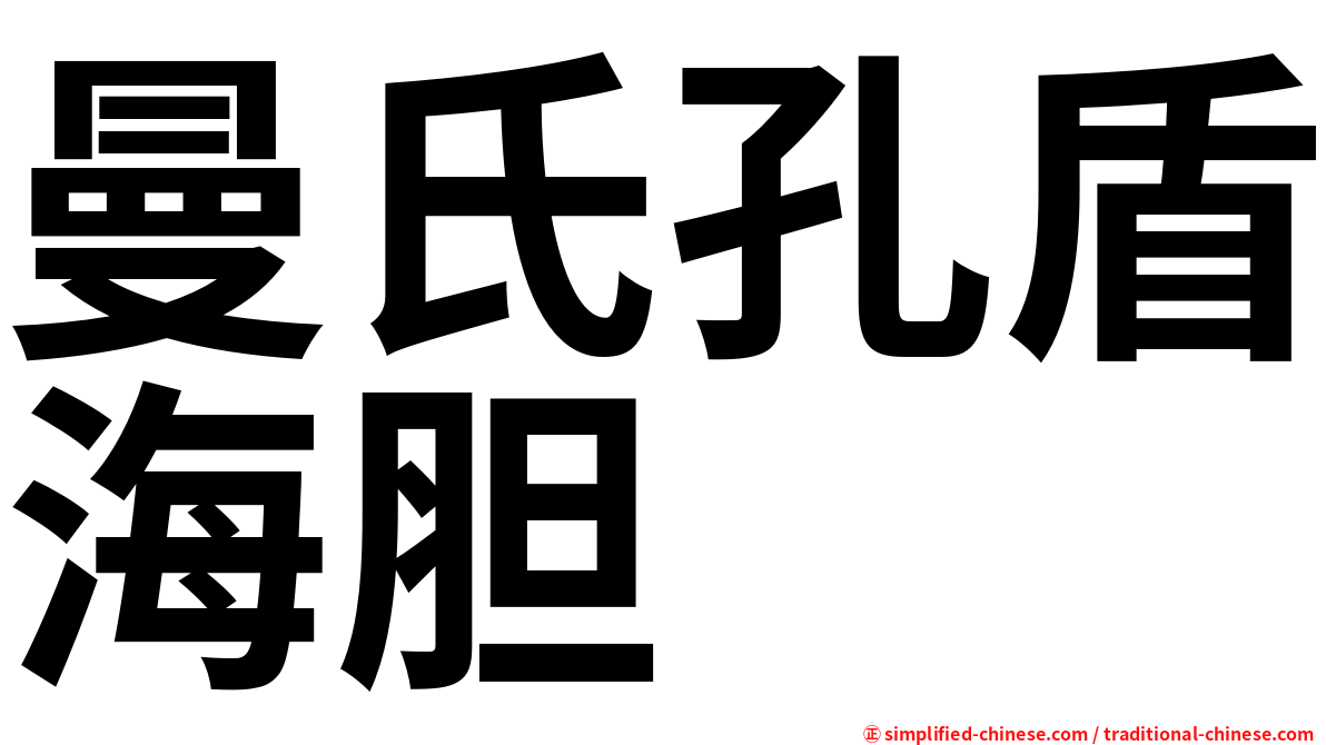 曼氏孔盾海胆