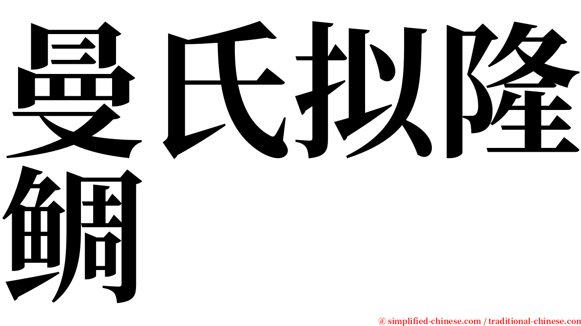 曼氏拟隆鲷 serif font