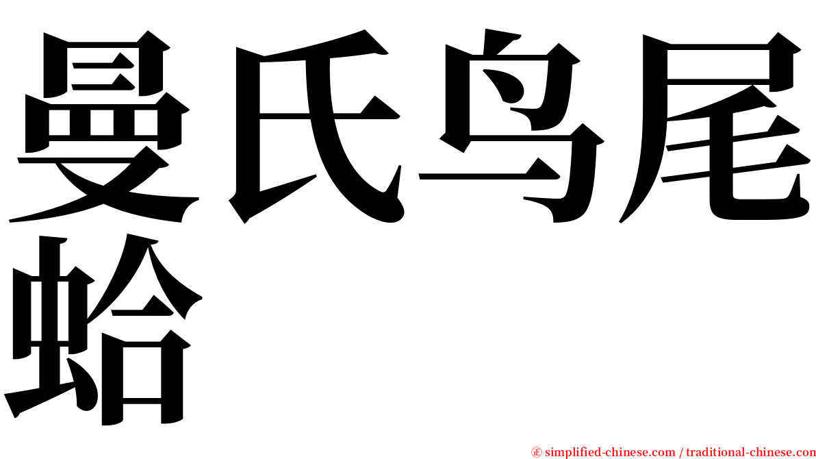 曼氏鸟尾蛤 serif font