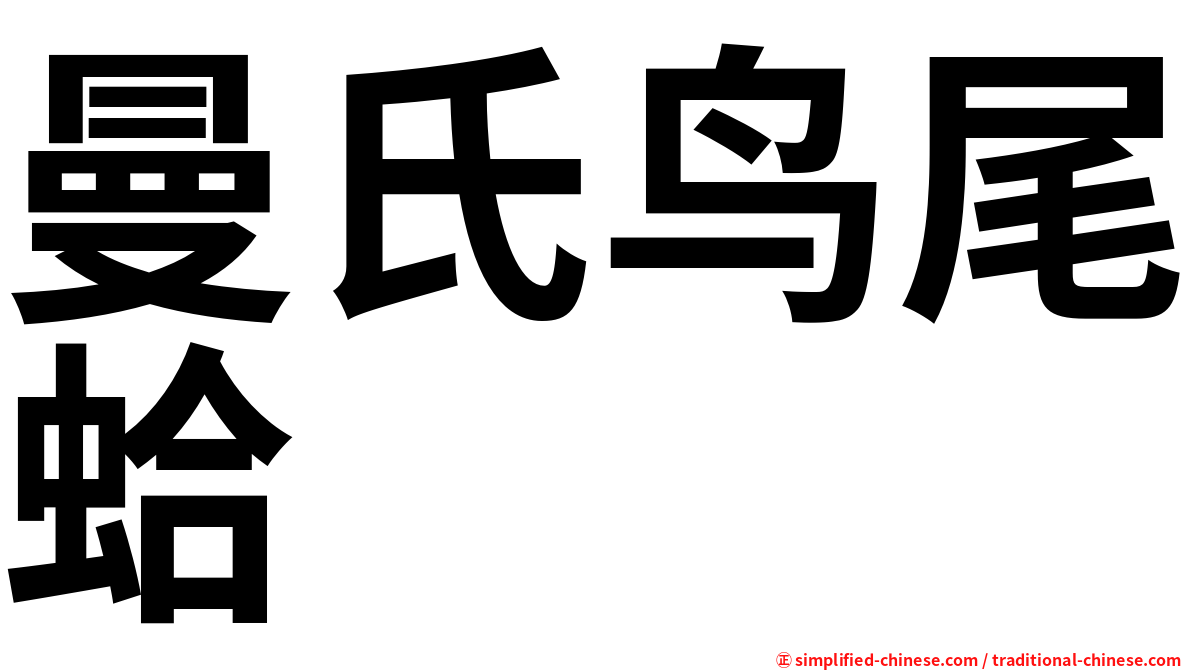 曼氏鸟尾蛤