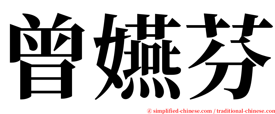 曾嬿芬 serif font