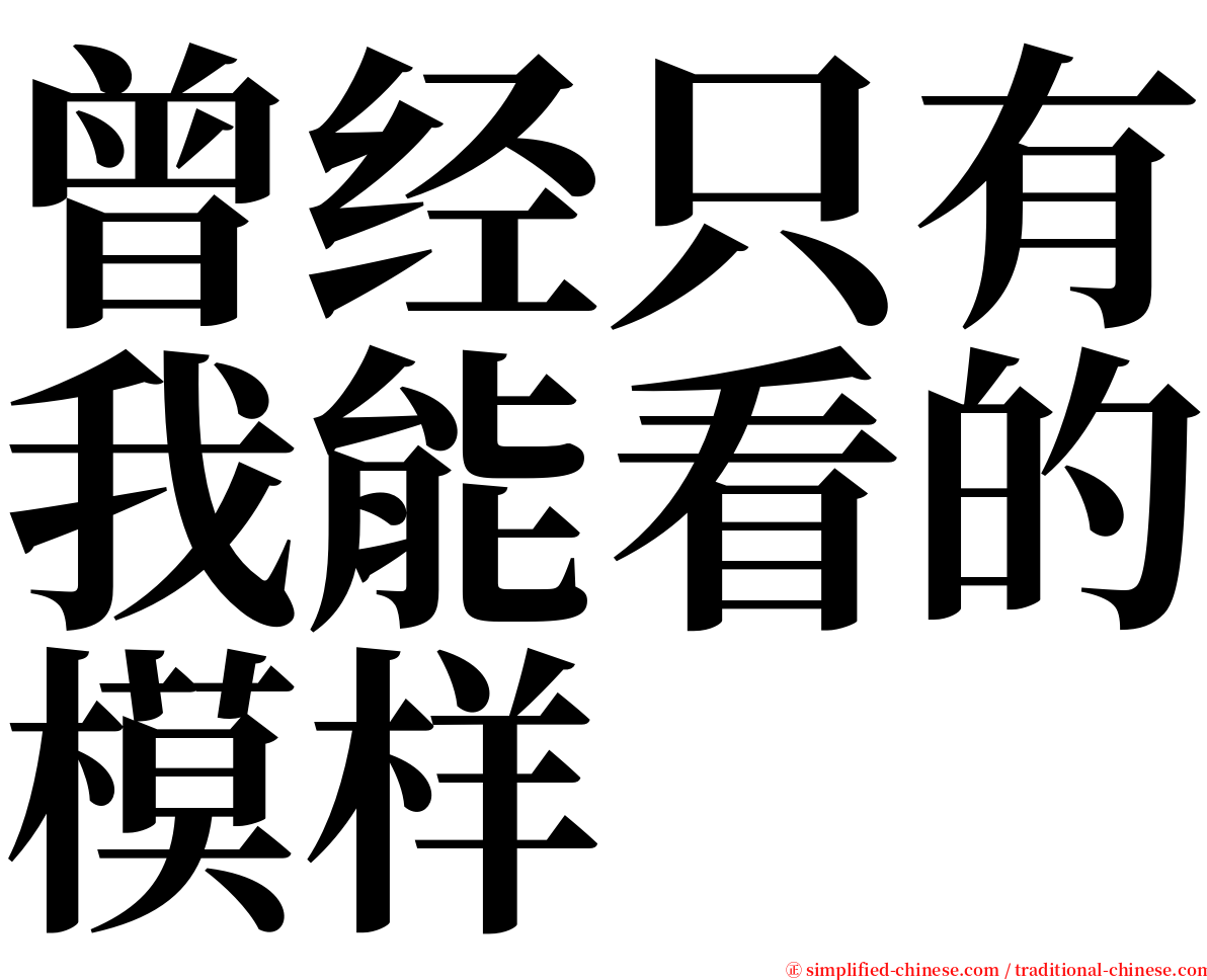 曾经只有我能看的模样 serif font