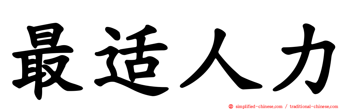 最适人力