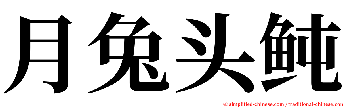 月兔头鲀 serif font