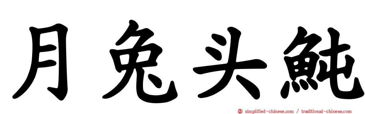 月兔头鲀
