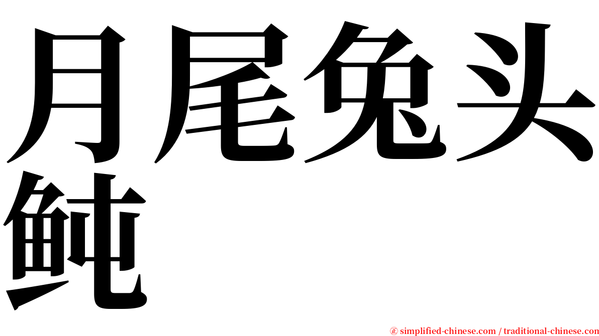 月尾兔头鲀 serif font