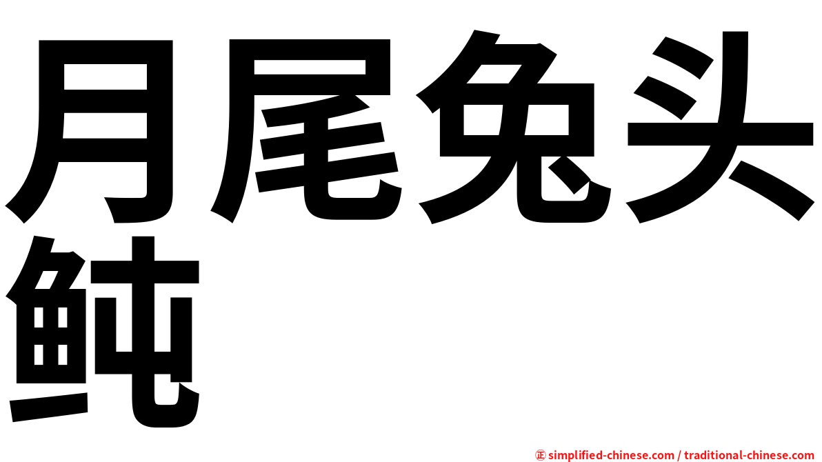 月尾兔头鲀
