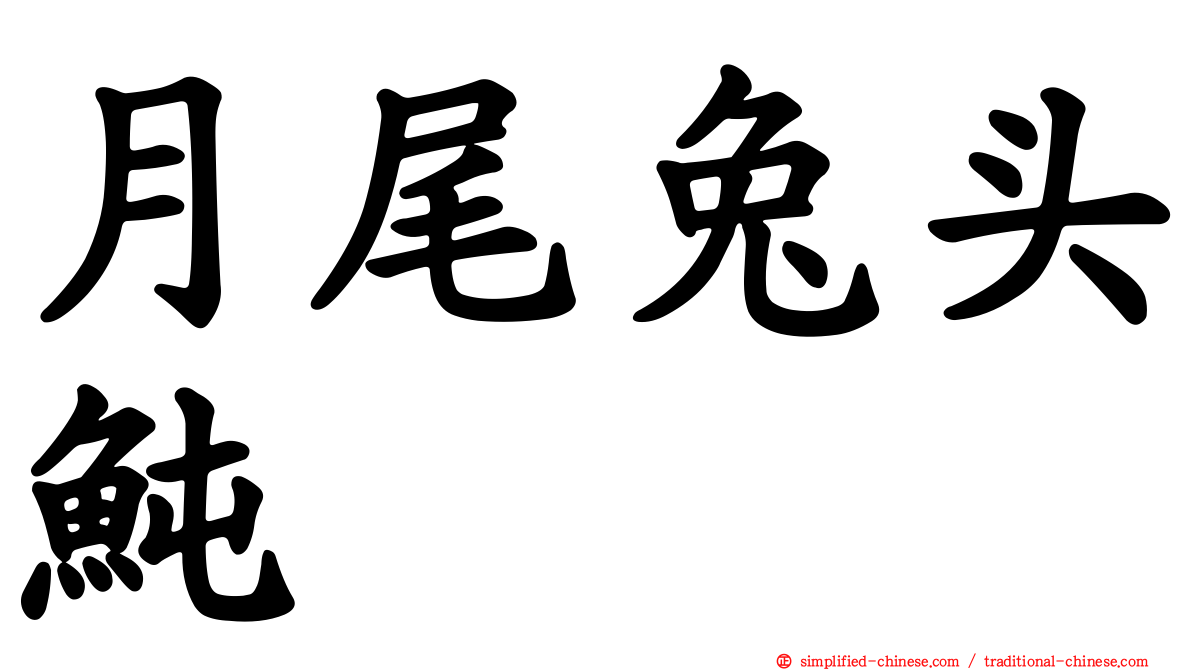 月尾兔头鲀
