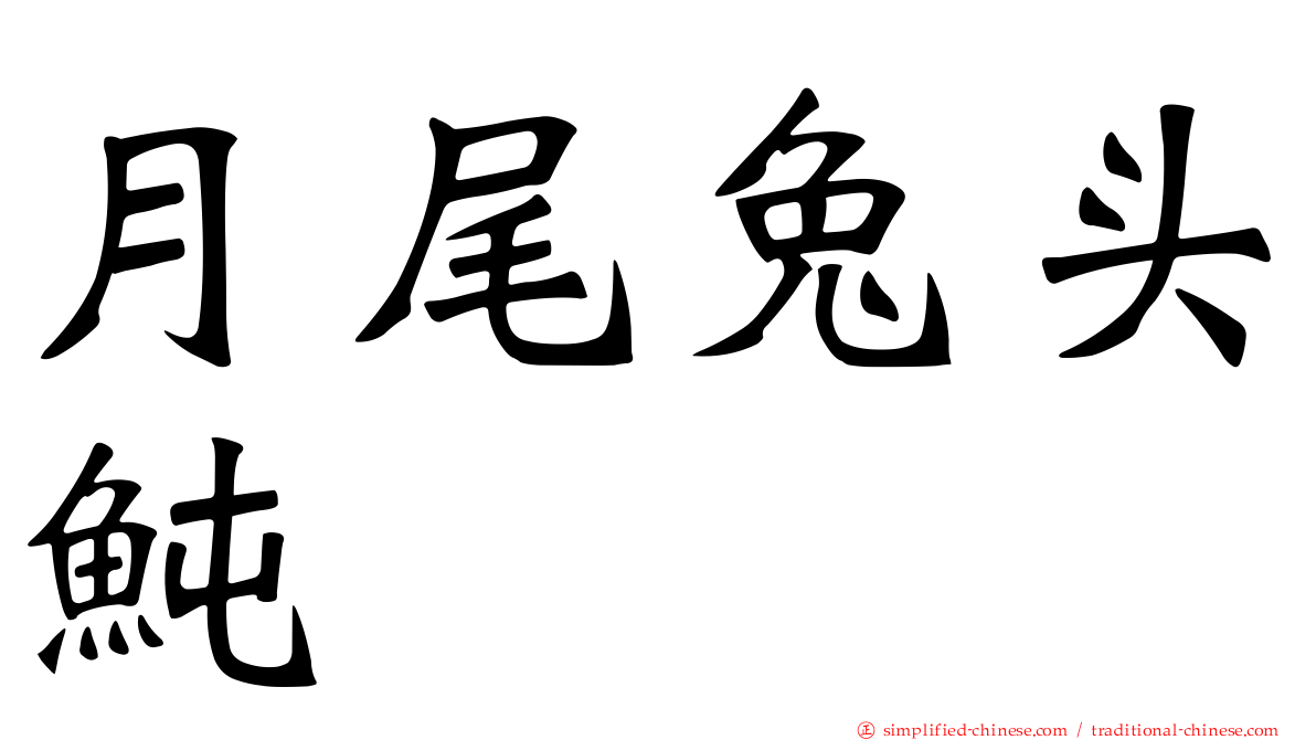 月尾兔头鲀