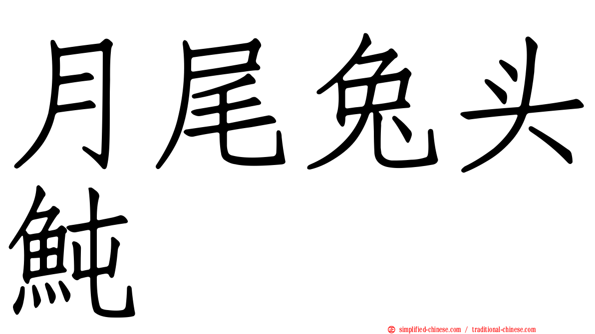 月尾兔头鲀