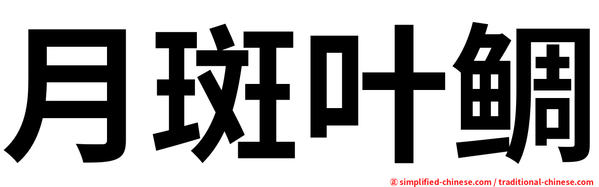 月斑叶鲷