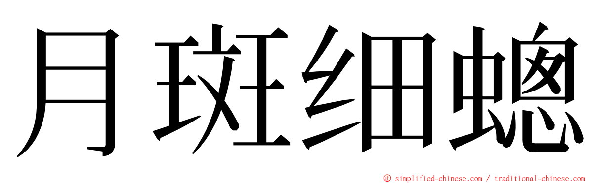 月斑细蟌 ming font