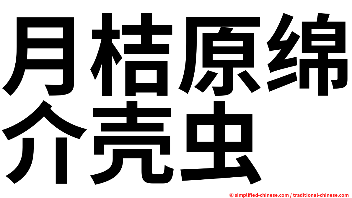 月桔原绵介壳虫