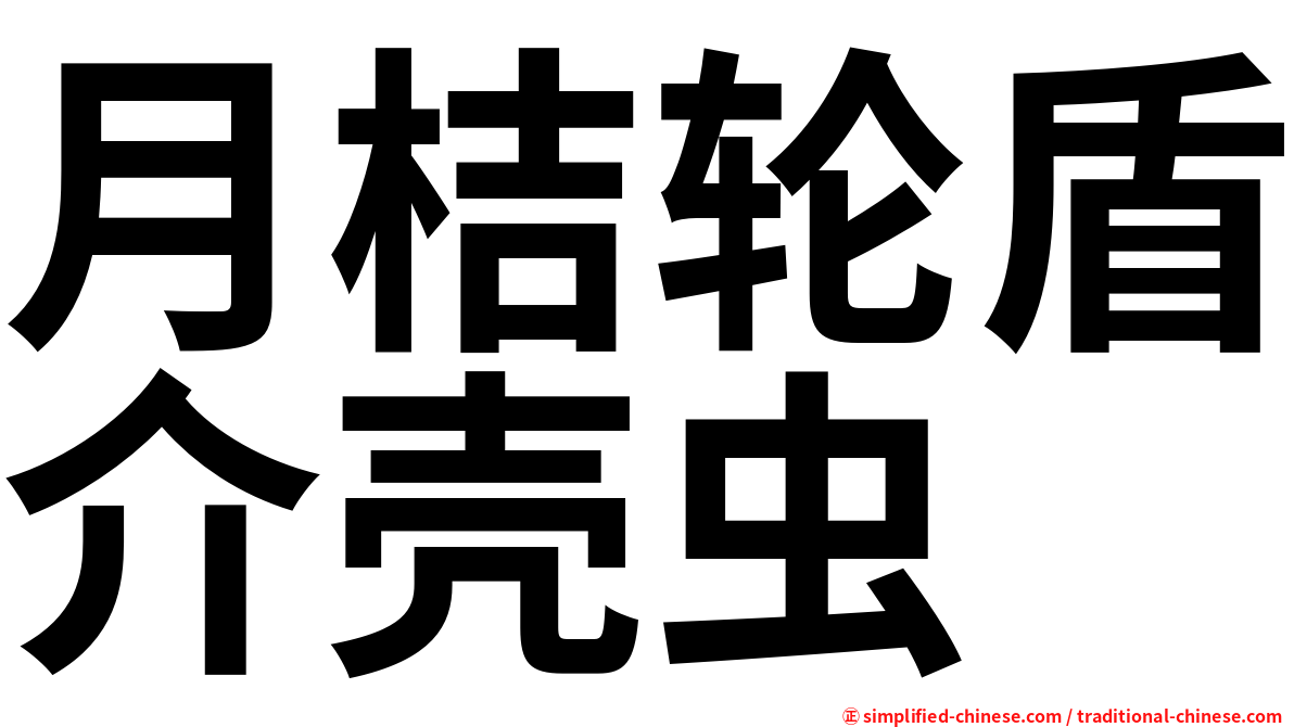月桔轮盾介壳虫