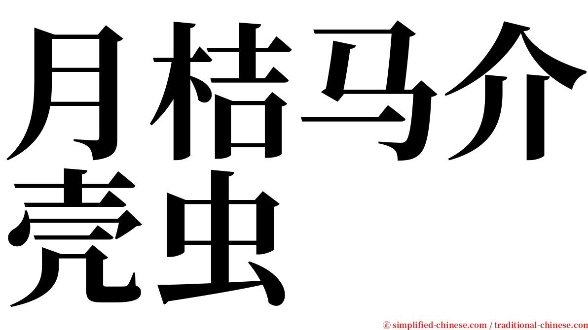 月桔马介壳虫 serif font
