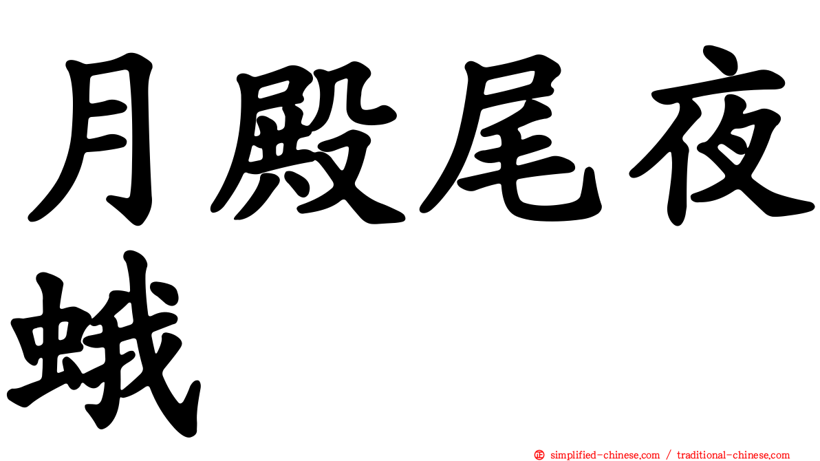 月殿尾夜蛾