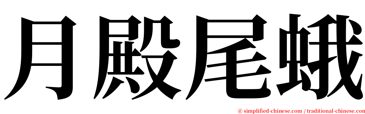 月殿尾蛾 serif font