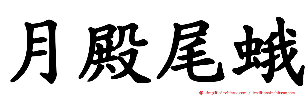 月殿尾蛾