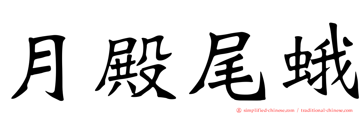 月殿尾蛾
