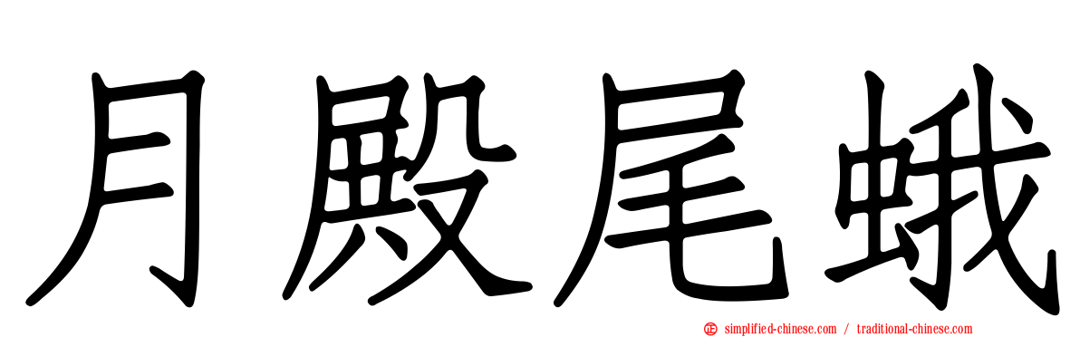 月殿尾蛾
