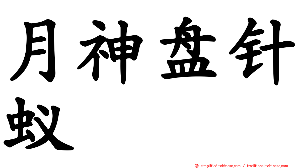 月神盘针蚁