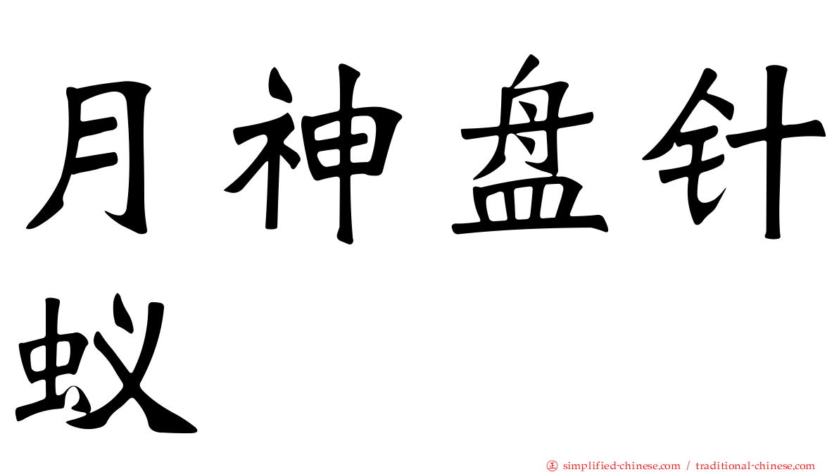 月神盘针蚁