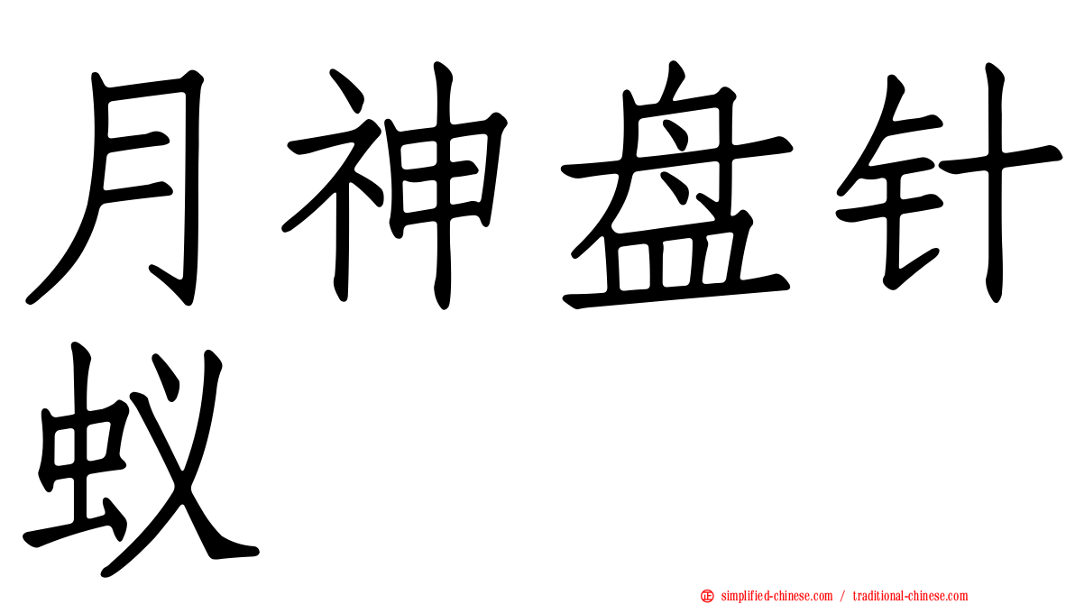 月神盘针蚁
