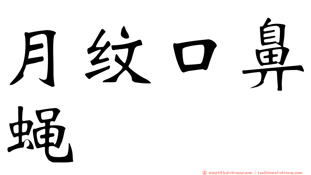 月纹口鼻蝇