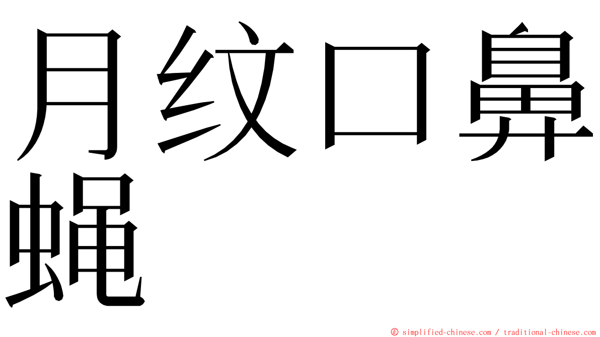 月纹口鼻蝇 ming font