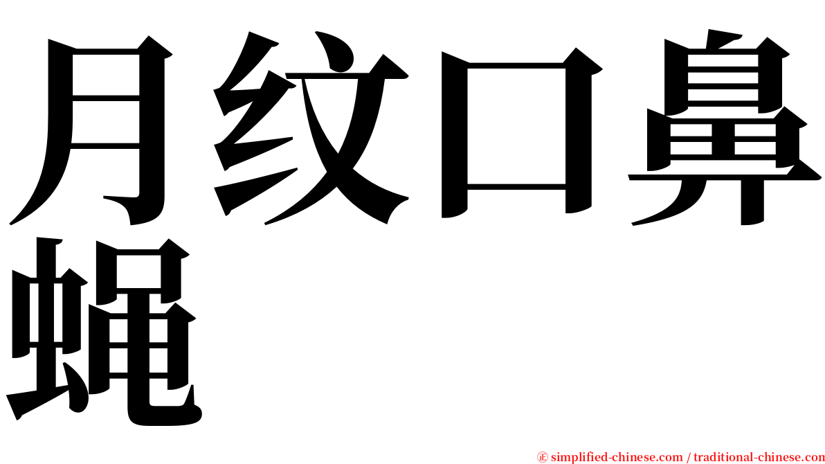 月纹口鼻蝇 serif font