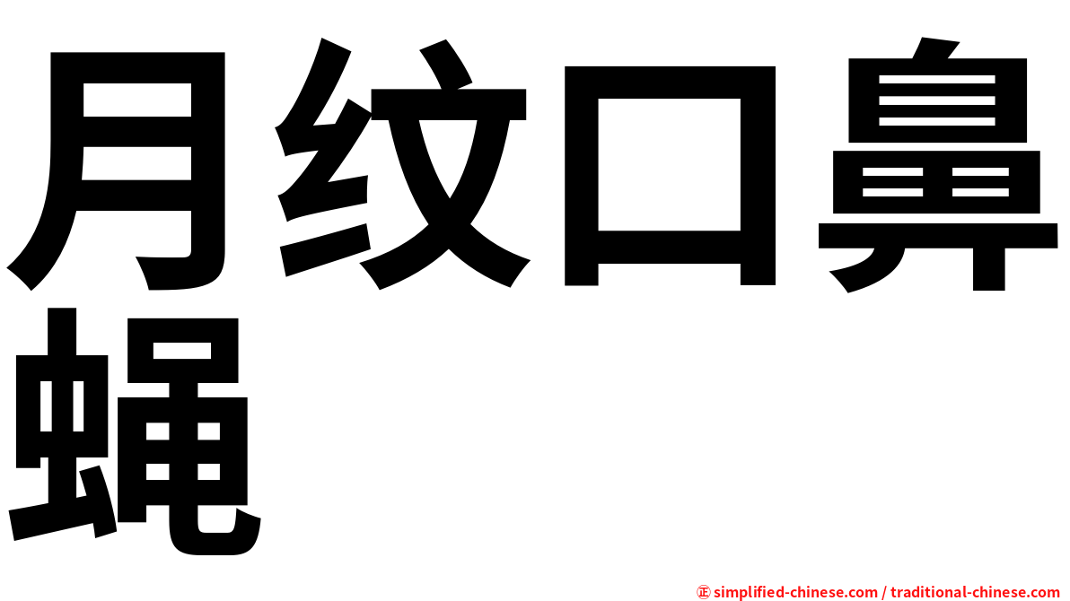 月纹口鼻蝇