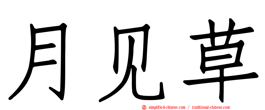 月见草
