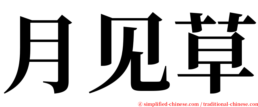 月见草 serif font
