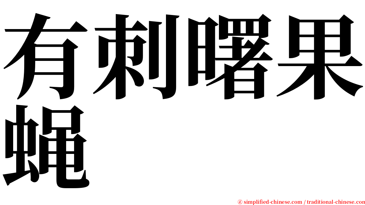 有刺曙果蝇 serif font