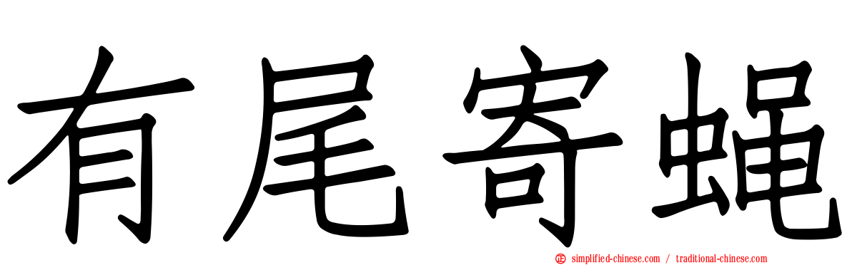 有尾寄蝇