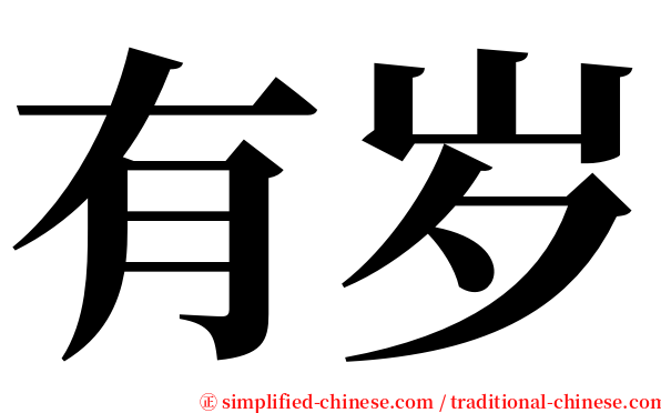 有岁 serif font