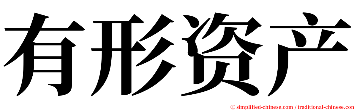 有形资产 serif font