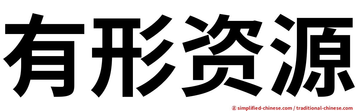 有形资源